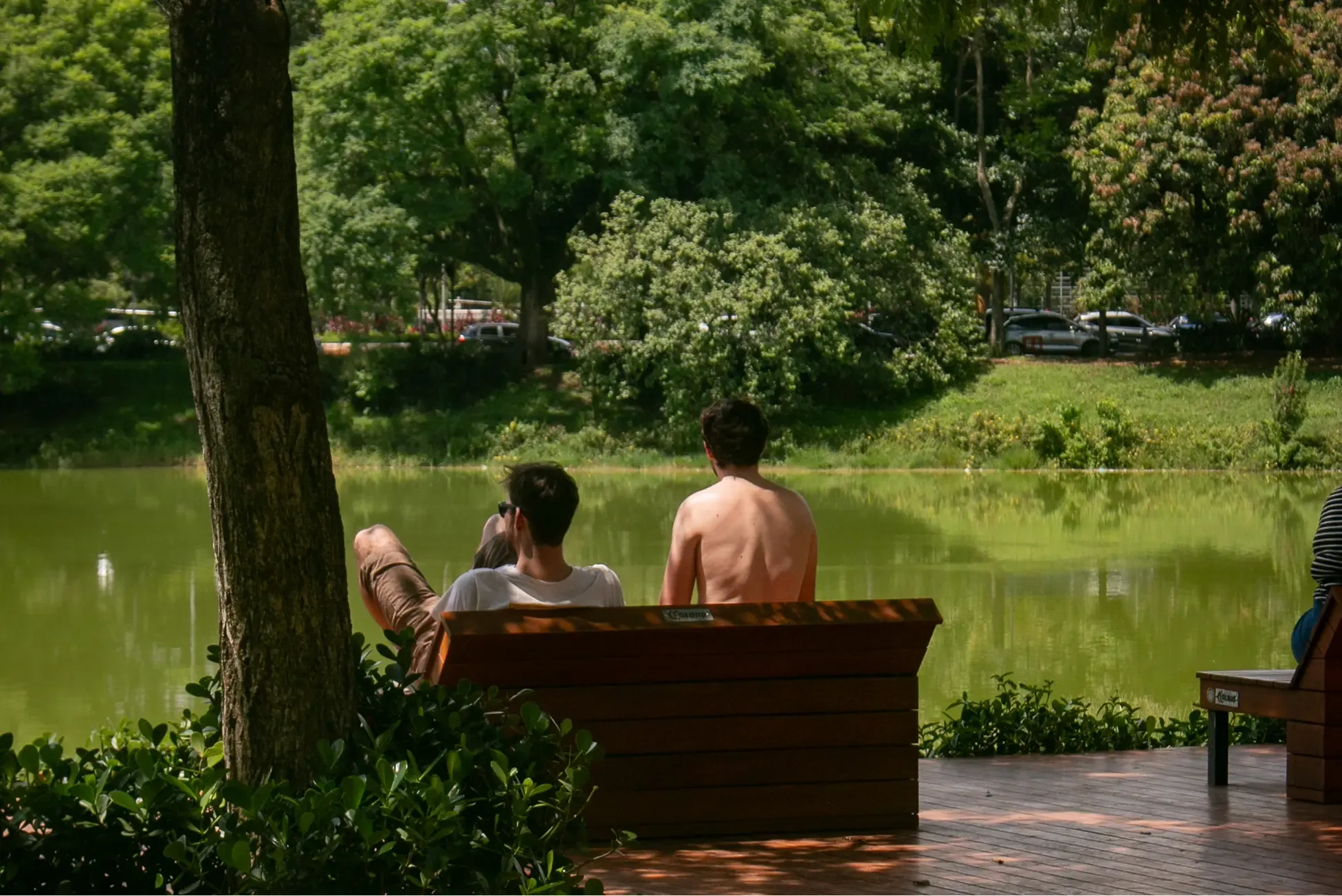 Two people sitting on a bench beside a green park lake