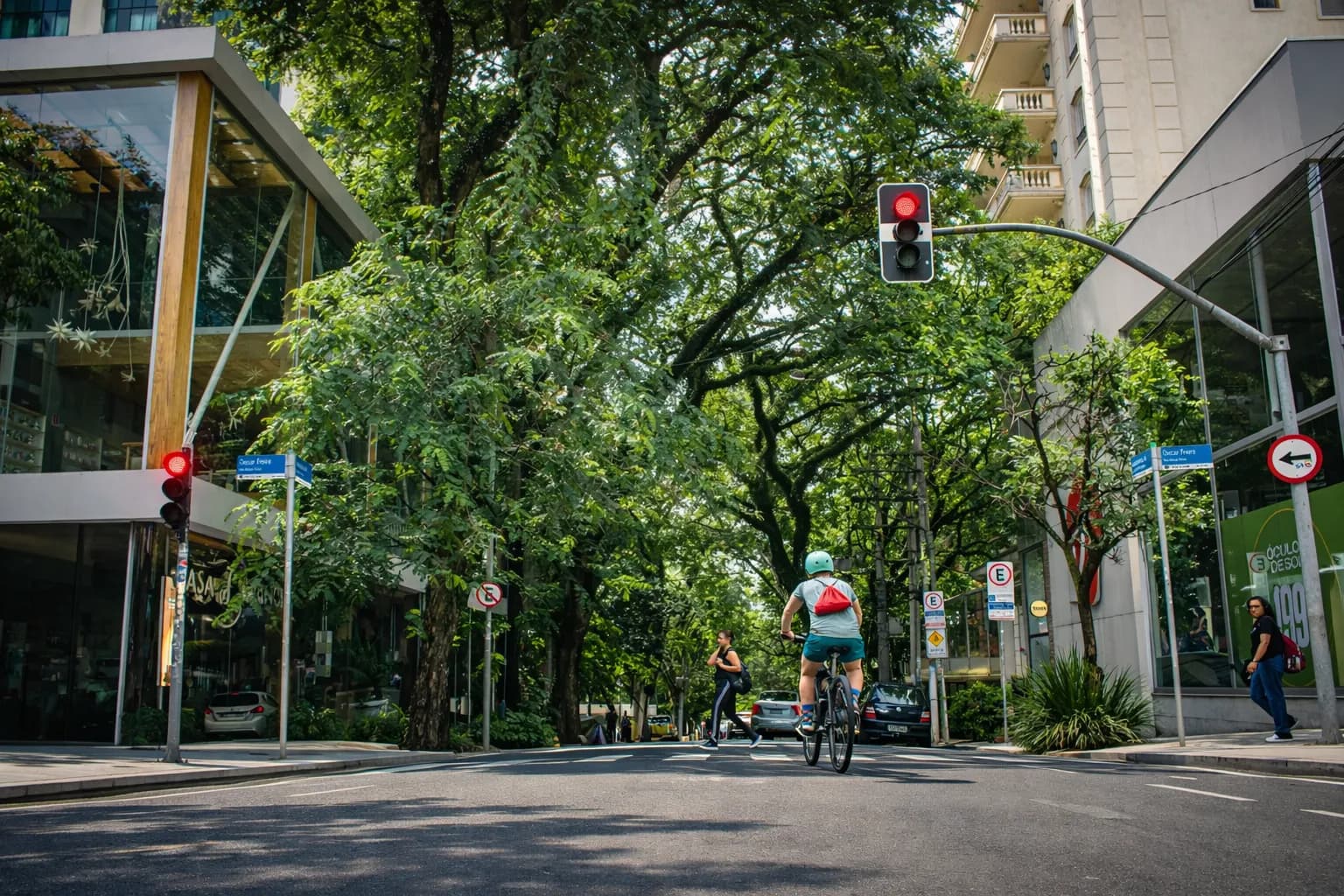 Cyclist waiting at a red light on a tree-lined city street