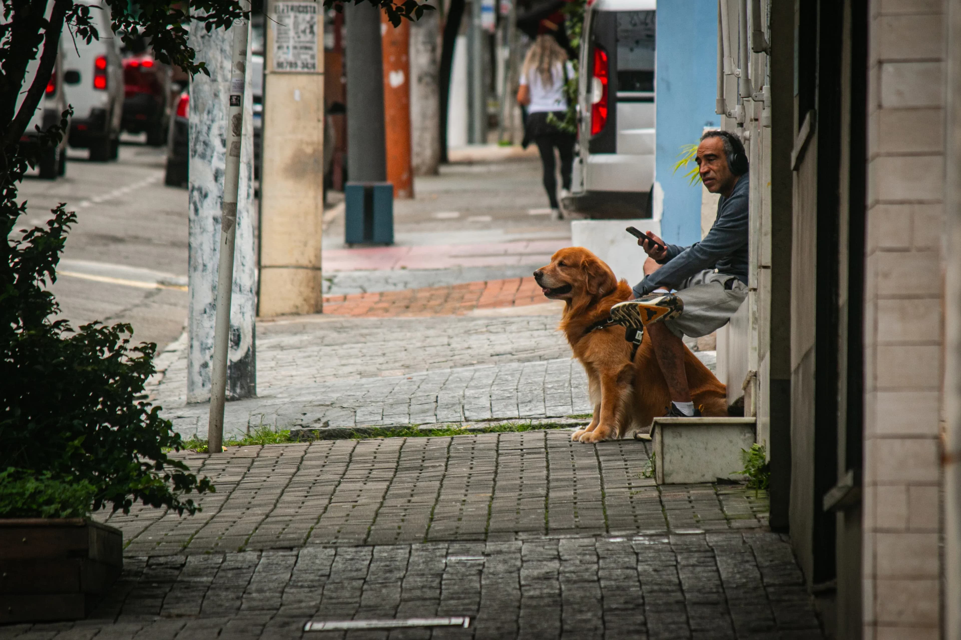Man wearing headphones sitting on a sidewalk beside a golden retriever