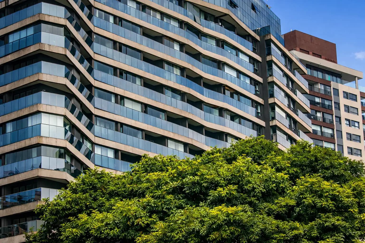 Glass-fronted residential building partially hidden by bright green treetops