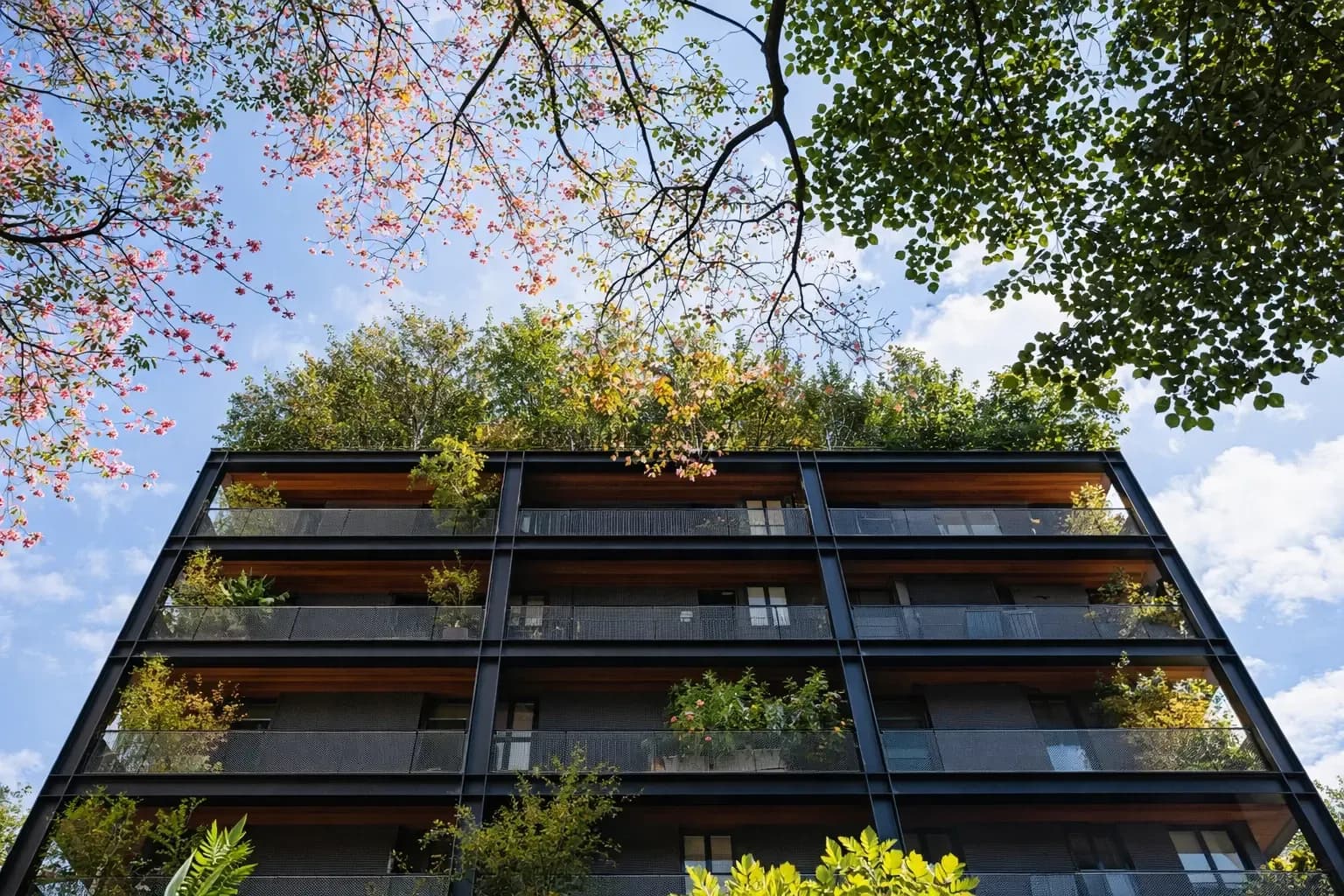 Dark modern apartment facade viewed from below through leafy tree branches