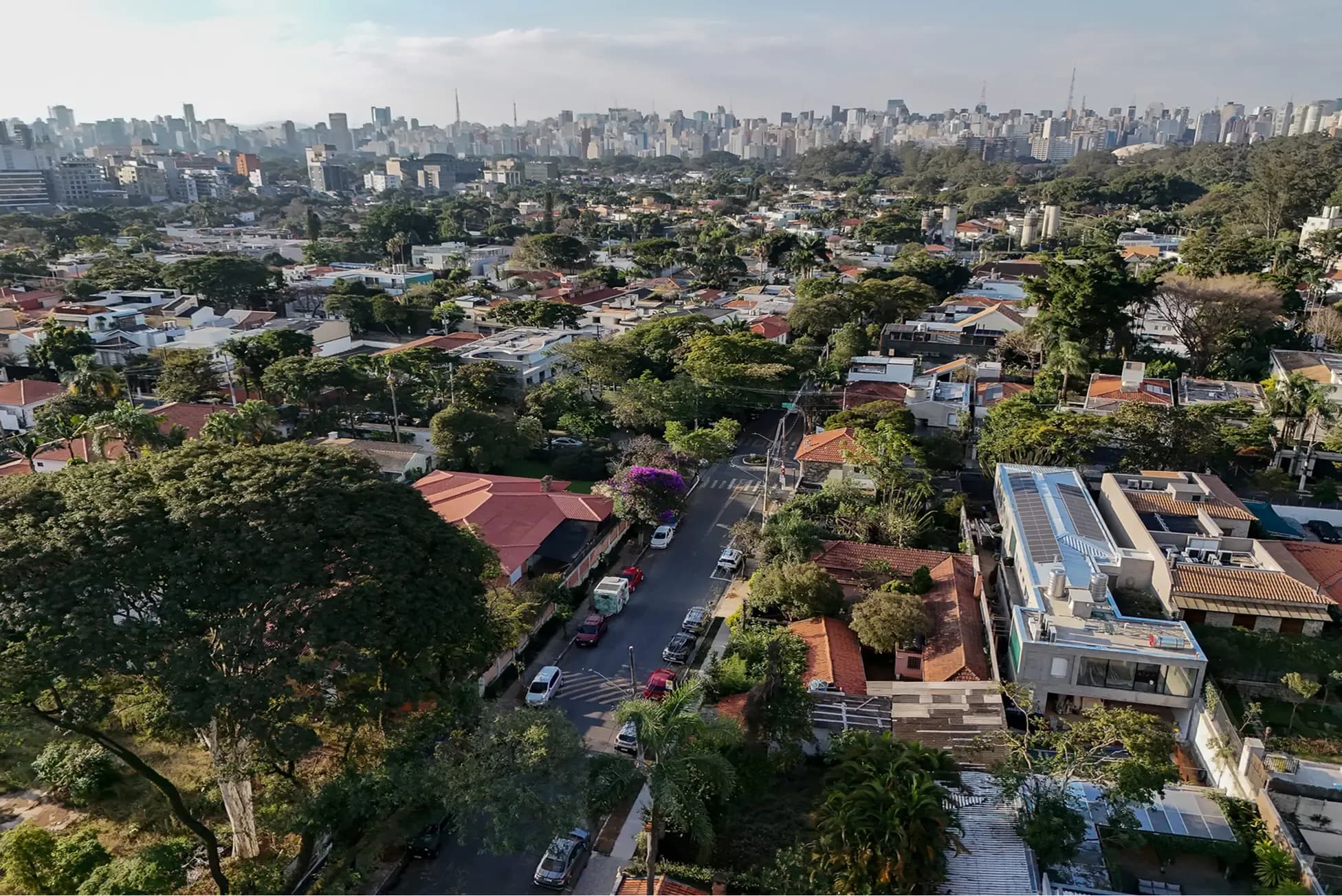 Aerial view of a leafy neighborhood with red roofs and a distant city skyline