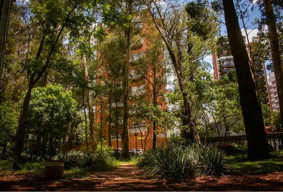 Small urban park with tall trees and brick apartment buildings behind